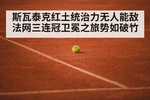 French Open clay court
